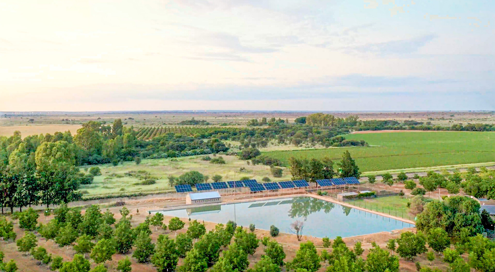 Boerderij