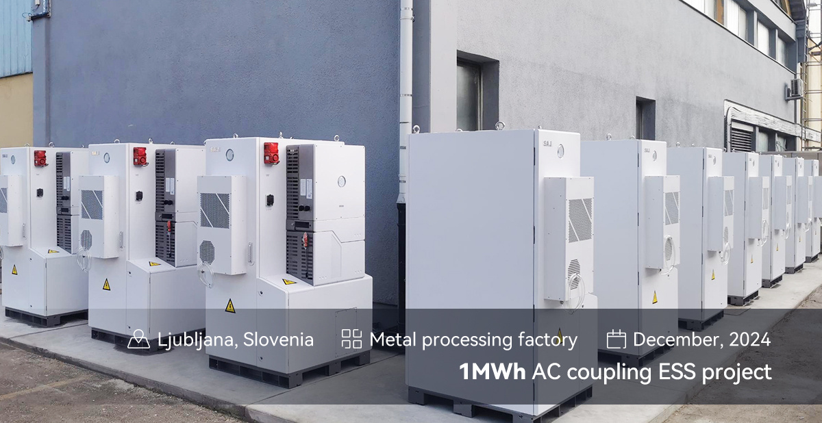 Casestudy: CHS2-parallelkoppelingsproject in Slovenië - 2025-0115(1)
