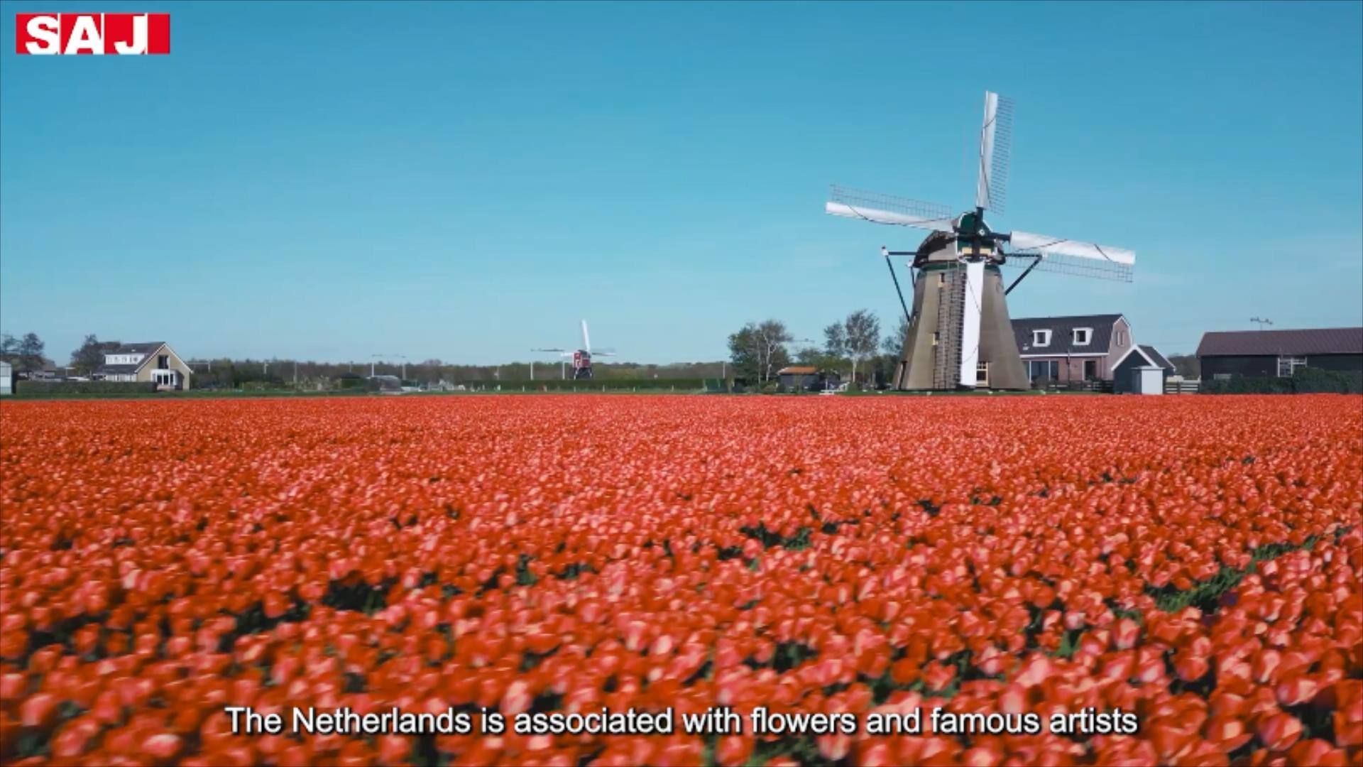 Video over het Nederlandse HS2-project [Engels].mp4_20250225_180310865